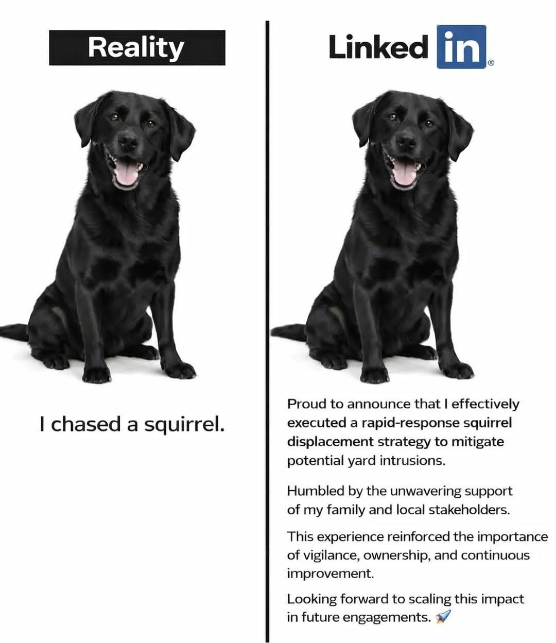 linkedin ad